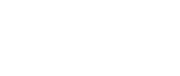 PIZZ ANNU